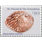 Abalone - Caribbean / Saint Vincent and The Grenadines 2016 - 10