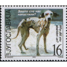 Abandoned Dog (Canis lupus familiaris) - Yugoslavia 2003 - 16