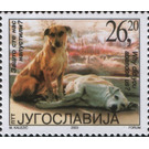 Abandoned Dog (Canis lupus familiaris) - Yugoslavia 2003 - 26.20