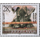 Abandoned Dog (Canis lupus familiaris) - Yugoslavia 2003 - 28.70
