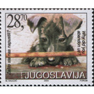 Abandoned Dog (Canis lupus familiaris) - Yugoslavia 2003 - 28.70