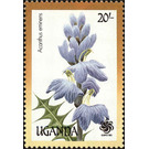 Acanthus eminens - East Africa / Uganda 1990 - 20