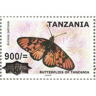 Acraea petraea - East Africa / Tanzania 2020 - 900