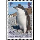 Adélie Penguin - British Antarctic Territory 2018 - 1