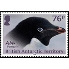 Adélie Penguin - British Antarctic Territory 2018 - 76