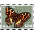 Aeropetes tulbaghia - West Africa / Ghana 2017 - 8