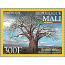 African Baobab (Adansonia digitata) - West Africa / Mali 2021