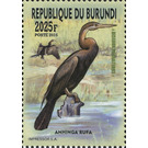 African Darter (Anhinga rufa) - East Africa / Burundi 2016