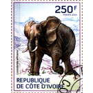 African Elephant (Loxodonta africana) - West Africa / Ivory Coast 2014 - 250