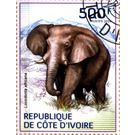 African Elephant (Loxodonta africana) - West Africa / Ivory Coast 2014 - 500