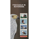 African Fish Eagle (Haliaeetus vocifer) - South Africa / Botswana 2021