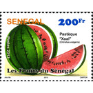 African Melon “Xaal” (Citrullus vulgaris) - West Africa / Senegal 2013 - 200