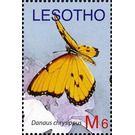 African Monarch (Danaus chrysippus) - South Africa / Lesotho 2007 - 6