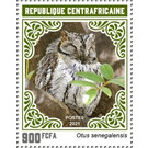 African Scops Owl (Otus senegalensis) - Central Africa / Central African Republic 2021 - 900