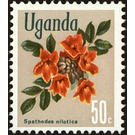African tulip tree (Spathodea nilotica) - East Africa / Uganda 1969 - 50