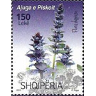 Ajuga Piskoi - Albania 2017 - 150