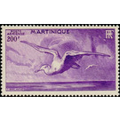 Albatross (Diomedea sp.) - Caribbean / Martinique 1947 - 200