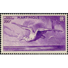 Albatross (Diomedea sp.) - Caribbean / Martinique 1947 - 200