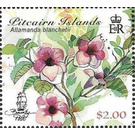 Allamanda blanchetii - Polynesia / Pitcairn Islands 2018
