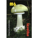 Amanita phalloides - South Africa / Lesotho 2007 - 6