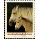 American Cream Draft Horse - United States of America 2021