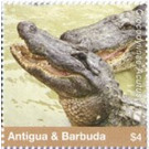 American Crocodile - Caribbean / Antigua and Barbuda 2020 - 4