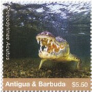 American Crocodile - Caribbean / Antigua and Barbuda 2020 - 5.50