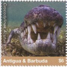 American Crocodile - Caribbean / Antigua and Barbuda 2020 - 6