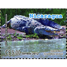 American Crocodyle (Crocodylus acutus) - Central America / Nicaragua 2012 - 5