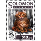 American Curl - Melanesia / Solomon Islands 2017 - 10