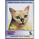 American Short-hair (Felis silvestris catus) - Polynesia / Tuvalu, Nanumea 1985