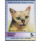 American Short-hair (Felis silvestris catus) - Polynesia / Tuvalu, Nanumea 1985