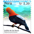 Andean Cock-of-the-Rock (Rupicola peruvianus) - South America / Peru 2020 - 1.20