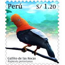 Andean Cock-of-the-Rock (Rupicola peruvianus) - South America / Peru 2020 - 1.20