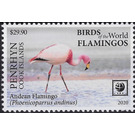 Andean Flamingo (Phoenicoparrus andinus) - Polynesia / Penrhyn 2020