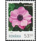 Anemone - Romania 2020 - 53.50