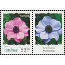 Anemone - Romania 2020 - 53.50