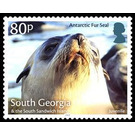 Antaractic Fur Seal : Juvenile - Falkland Islands, Dependencies 2018 - 80