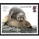 Antaractic Fur Seal : Mother With Pup - Falkland Islands, Dependencies 2018 - 80