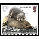 Antaractic Fur Seal : Mother With Pup - Falkland Islands, Dependencies 2018 - 80