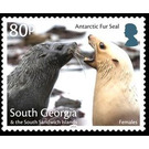 Antaractic Fur Seal : Two Females - Falkland Islands, Dependencies 2018 - 80