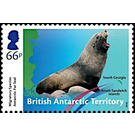 Antarctic Fur Seal (Arctocephalus gazella) - British Antarctic Territory 2018 - 66