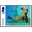 Antarctic Fur Seal (Arctocephalus gazella) - British Antarctic Territory 2018 - 76