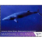 Antarctic minke whale - Micronesia / Marshall Islands 2020 - 1.50
