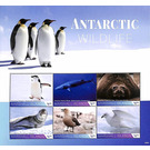 Antartic Wildlife - Micronesia / Marshall Islands 2020