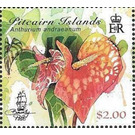 Anthurium andraeanum - Polynesia / Pitcairn Islands 2018