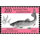 Aral Trout (Salmo trutta aralensis) - Kazakhstan 2020 - 200