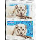 Arctic Fox (Vulpes lagopus) - Romania 2020 - 7