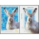 Arctic Hare (Lepus arcticus) MS - Romania 2020 - 19