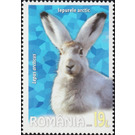 Arctic Hare (Lepus arcticus) - Romania 2020 - 19